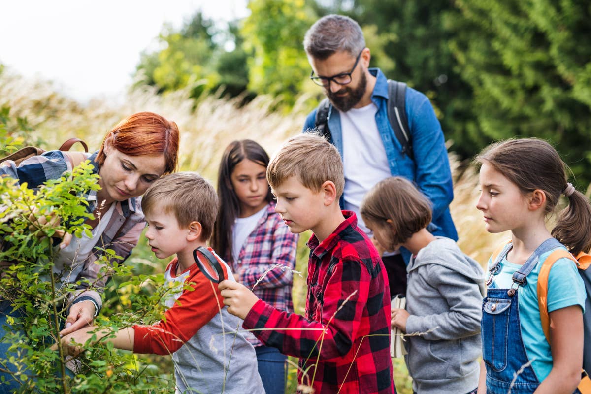 Gite scolastiche, -40% in tre mesi. Anac, stop all'obbligo della piattaforma digitale